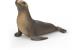 Schleich Seelöwe
