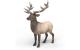 Schleich Amerikanischer Rothirsch