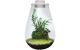 BioArt Pflanz-Terrarium Drop 285 mit LED