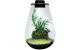 BioArt Pflanz-Terrarium Drop 285 mit LED