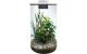 BioArt Pflanz-Terrarium Cylinder 285 mitLED