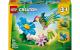 Wilde Tiere: Bunter Kolibri