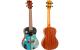 Flight Ukulele Concert - Two Seasons