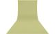 Westcott Backdrop - Light Moss Green