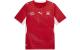 PUMA Jersey SFV Home Replica