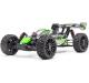 Hobbytech ROGUE Buggy 2.0 Grün ARTR