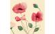 Duni Servietten 3-lagig Poppy Charm