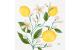 Duni Servietten 3-lagig Lemon Fiesta
