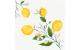 Duni Servietten Bio DSF Lemon Fiesta