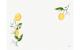 Duni Tischset Papier Lemon Fiesta