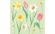 Duni Servietten 3-lagig Spring Melody