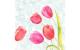 Duni Servietten 4-lagig Painted Tulips