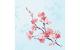 Duni Servietten Bio DSF Cherry Breeze