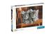 Puzzle Katzen 500 teilig