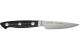Zwilling Kramer Euro Spick & Garniermesser