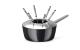 Koenig Fondue Caquelon One for all