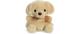 PP Sunny Labrador Dog
