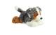 MF Australian Shepherd
