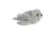 MF Harbour Seal