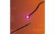 LMB 2.0 Astro LED Pink