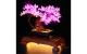 Licht Set LEGO Bonsai Baum 10281