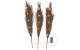 Star Trading Dekorativer Zweig Plumes