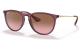 Ray-Ban ERIKA, TRANSPARENT VIOLET