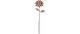 Esschert Rost Gartenstecker Dahlie
