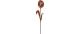 Esschert Rost Gartenstecker Tulpe