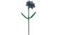 BRIXIES Plus Strandflieder blau