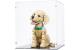 Acryl-Display LEGO 11384 Golden