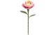 Robotime Pink Camellia