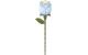 Robotime Blue Rose