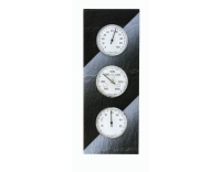 TFA Wetterstation Domatic