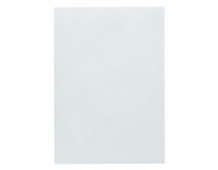 Artoz 1001 A4 100g blütenweiss