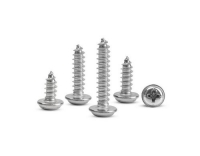 EP 2.5x12mm Linsenflanschkopfschr.