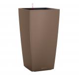 Lechuza Cubico Color 30