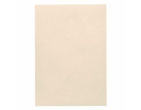 Artoz 1001 A4 220g ivory 5 Kartons