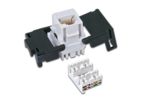Wirewin Keystone Modul, Cat.6A UTP