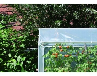 Windhager Tomatenhaus AluProfi