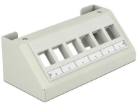 Delock Keystone Leergeh&auml;use Multimedia