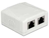 Delock RJ-45 Cat.6A Gehäuse: 2 Port