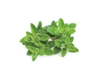 Click and Grow Marjoran