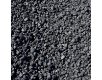 Woods Filter Aktivkohle zu AL310