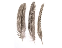 Glorex Federn Perlhuhn