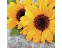 Stewo Servietten Isadora