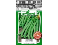 Buschbohne Saxa