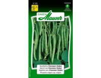 Buschbohne Processor (Sabo)