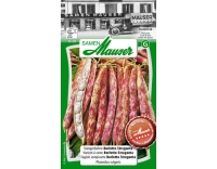 Stangenbohne Borlotti Stregonta