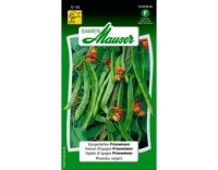 Stangenbohne Prizewinner